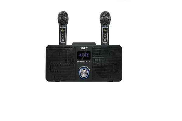 Loa Bluetooth SD - 309