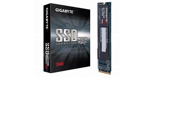 SSD 256GB Gigabyte GSM2NE3256GNTD M.2 PCIe
