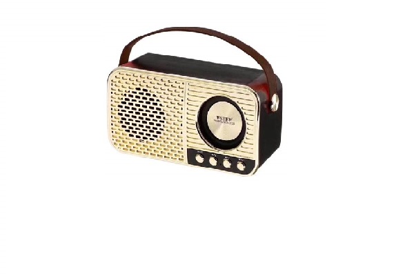 Loa Bluetooth WSTER WS - 3138